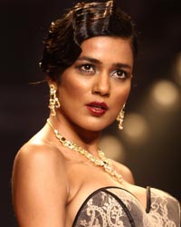 Gitanjali Gems Show at IIJW 2014