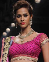 Gitanjali Gems Show at IIJW 2015