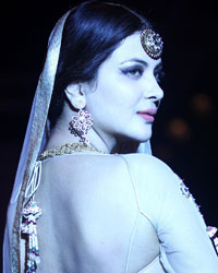 Ankita Shorey