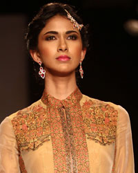 Gitanjali Show at IIJW 2014