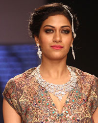 Gitanjali Show at IIJW 2014