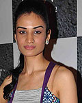 Guests at IIJW 2012