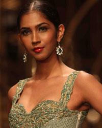 IBFW 2013