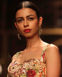 IBFW 2013