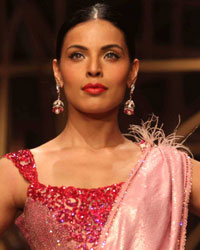 IBFW 2013