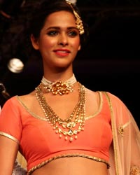 IIGJ Delhi Show at IIJW 2014