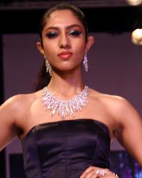 IIGJ Delhi Show at IIJW 2014