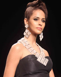 Indian Institute of Gems, Mumbai show at India International Jewellery Week 2015