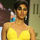 IIJW-2010