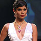 IIJW-2010