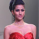 IIJW-2010