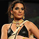 IIJW-2010