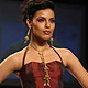 IIJW-2010