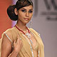 IIJW-2010