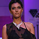 IIJW-2010