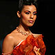 IIJW-2010