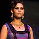 IIJW-2010