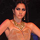 IIJW-2010