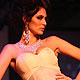 IIJW-2010