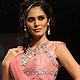 IIJW-2010