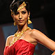 IIJW-2010