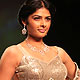 IIJW-2010