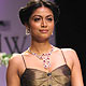 IIJW-2010