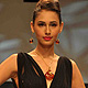 IIJW-2011