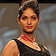 IIJW-2011