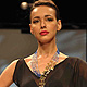 IIJW-2011