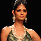 IIJW-2011