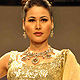 IIJW-2011