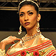 IIJW-2011