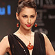 IIJW-2011