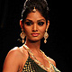 IIJW-2011