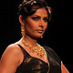 IIJW-2011