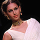 IIJW-2011