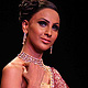 IIJW-2011