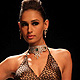 IIJW-2011