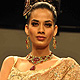 IIJW-2011