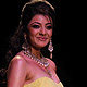 IIJW-2011