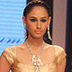 The India International Jewellery Week