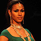 IIJW-2011The India International Jewellery Week