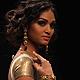 IIJW-2011