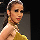 IIJW-2011