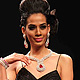 IIJW-2011