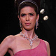 IIJW-2011