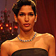 IIJW-2011