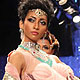 The India International Jewellery Week (IIJW 2011