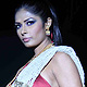 IIJW-2011